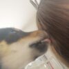 sonomamaのアバター